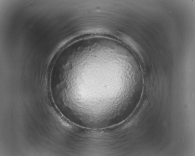 X0000083020831200702091315