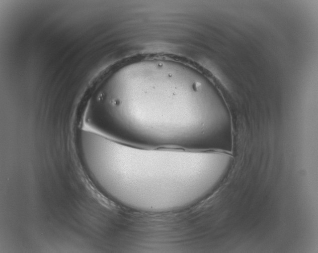 X0000083020832200702091315