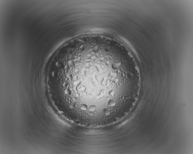 X0000083020835200702091315