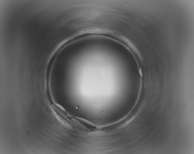 X0000083020837200702091315