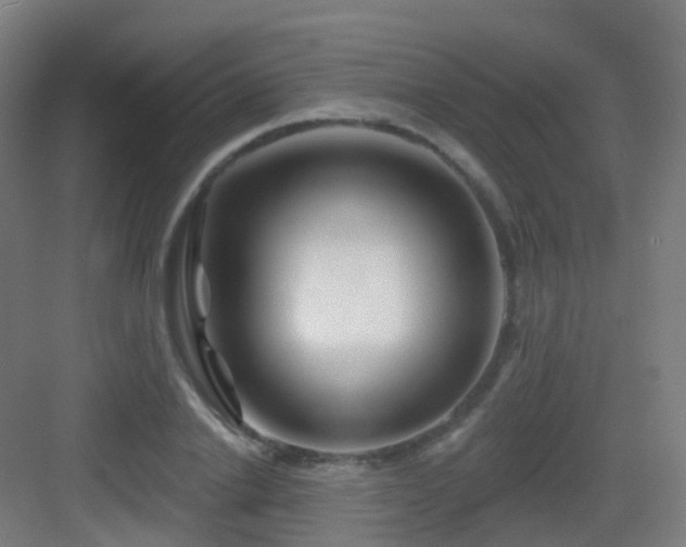 X0000083020838200702091315