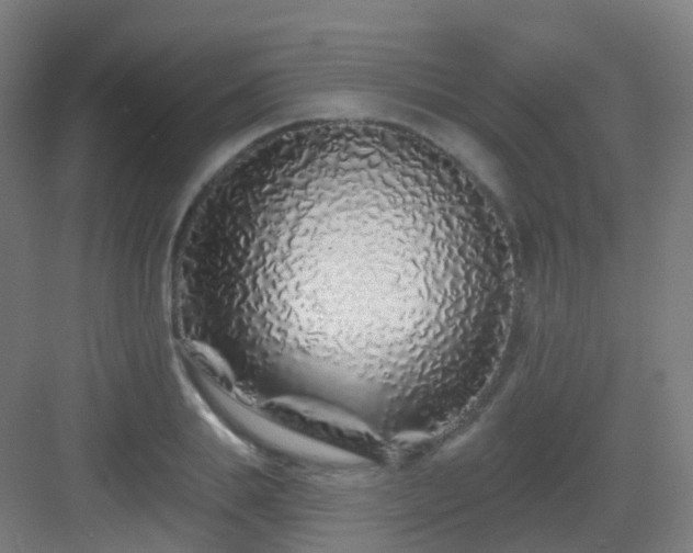 X0000083020839200702091315