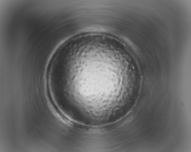 X0000083020840200702091315