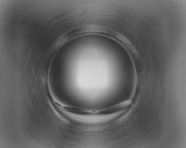 X0000083020841200702091315