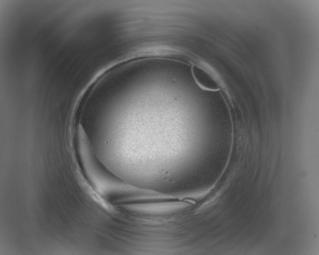 X0000083020843200702091315