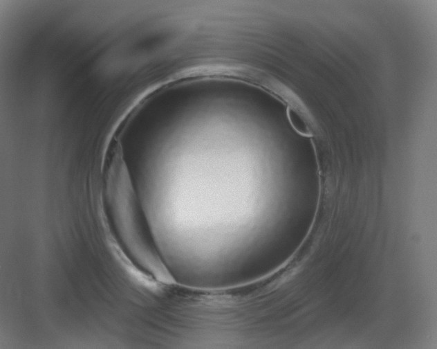 X0000083020844200702091315