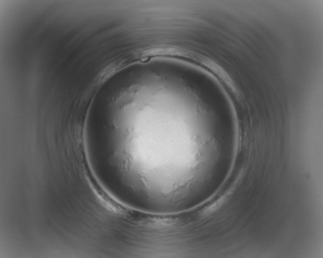 X0000083020849200702091315