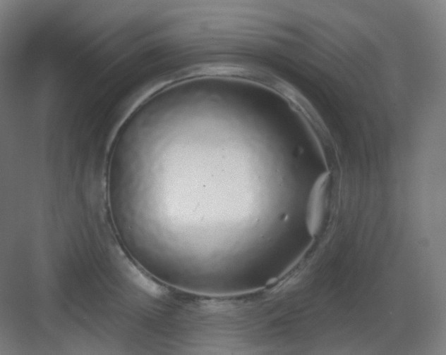 X0000083020852200702091315