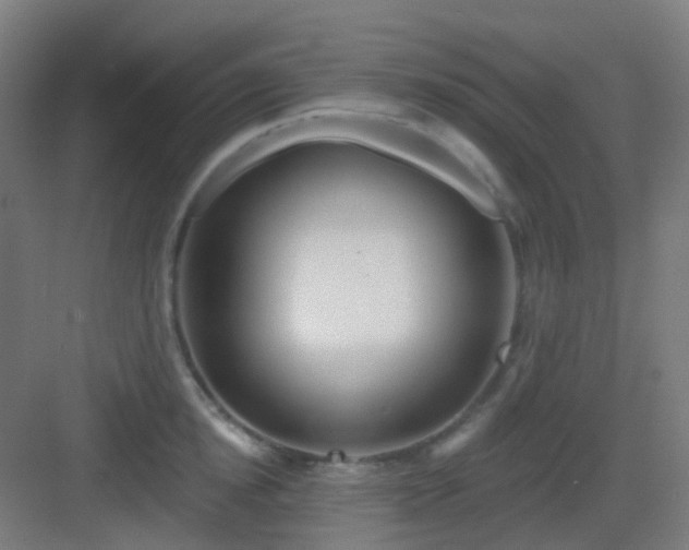 X0000083020854200702091315