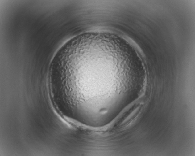 X0000083020855200702091315