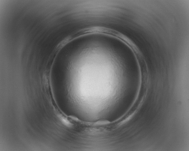 X0000083020857200702091315