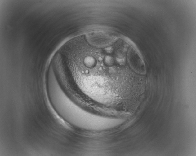 X0000083020859200702091315