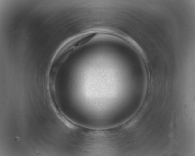X0000083020862200702091315