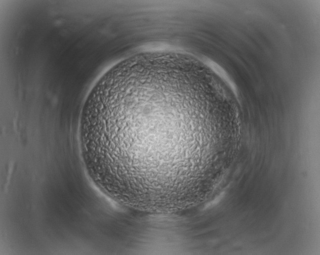 X0000083020863200702091315