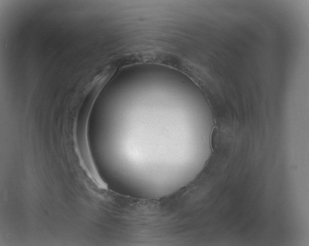 X0000083020865200702091314
