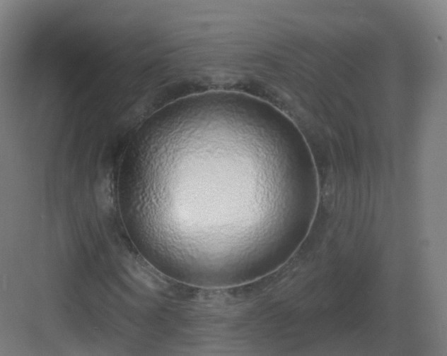 X0000083020866200702091314