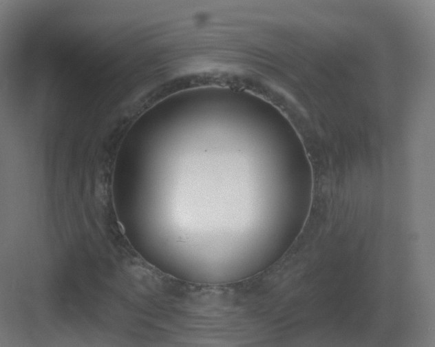 X0000083020869200702091314