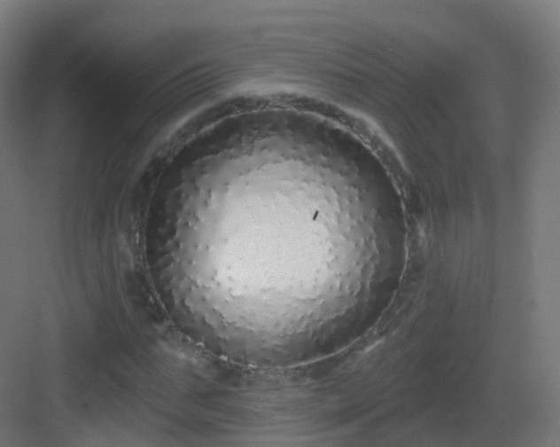 X0000083020871200702091314