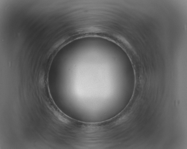 X0000083020873200702091314