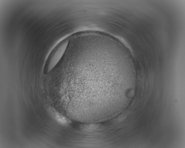 X0000083020879200702091314