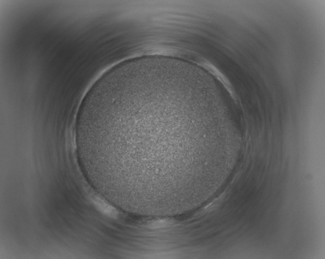 X0000083020891200702091314