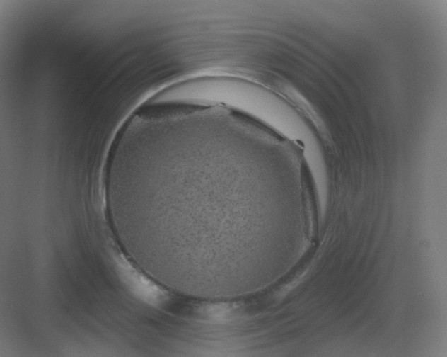 X0000083020892200702091314