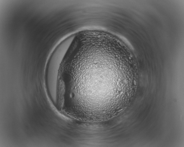 X0000083020895200702091314