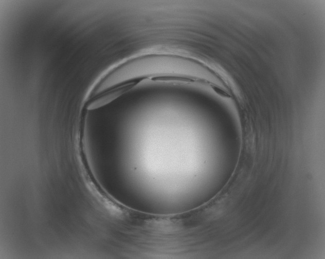 X0000083020896200702091314