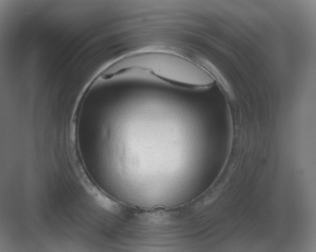 X0000083020900200702091314