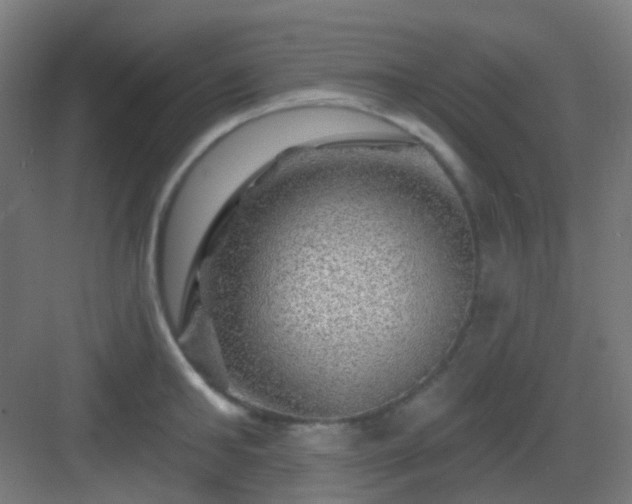 X0000083020902200702091314