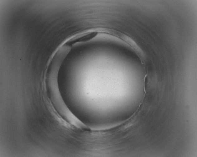 X0000083020908200702091313