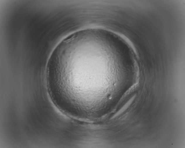 X0000083020911200702091313