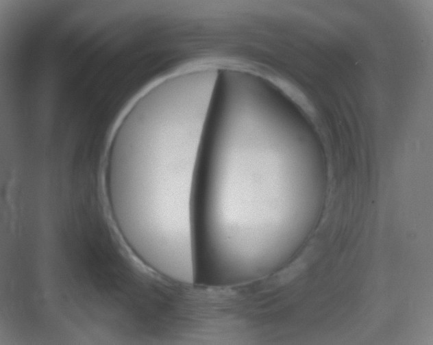 X0000083020912200702091313