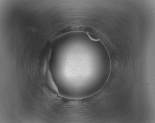 X0000083020914200702091313