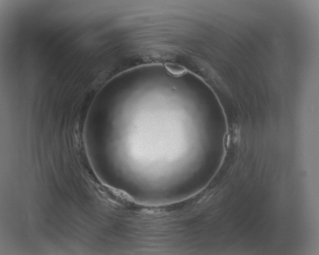 X0000083020915200702091313