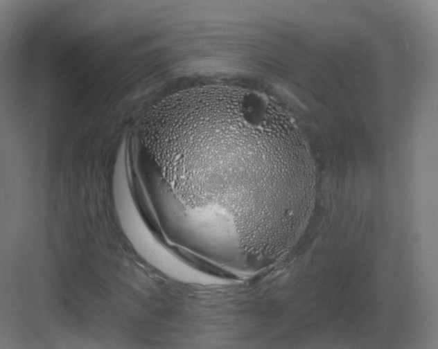 X0000083020917200702091313