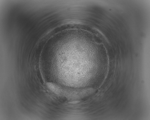 X0000083020919200702091313