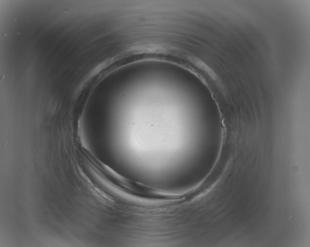 X0000083020922200702091313