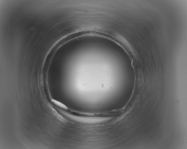 X0000083020924200702091313