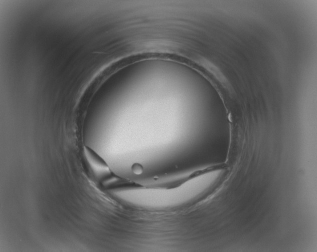 X0000083020926200702091313