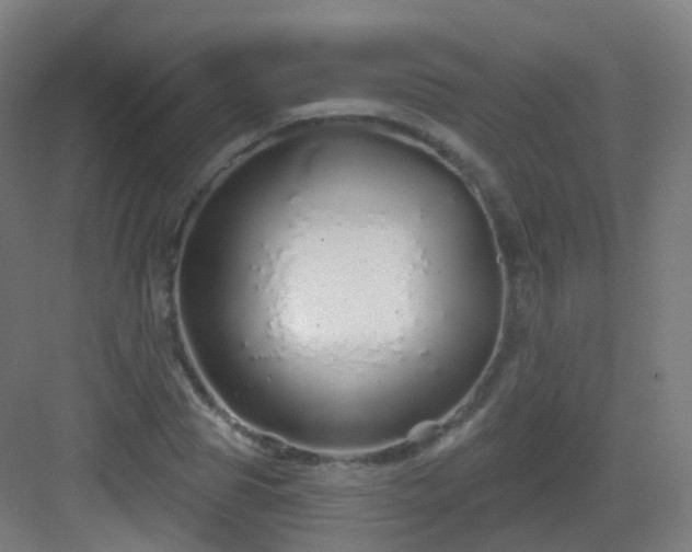 X0000083020929200702091313