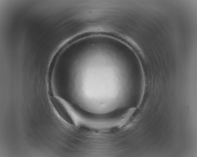 X0000083020935200702091313
