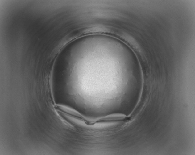 X0000083020937200702091313