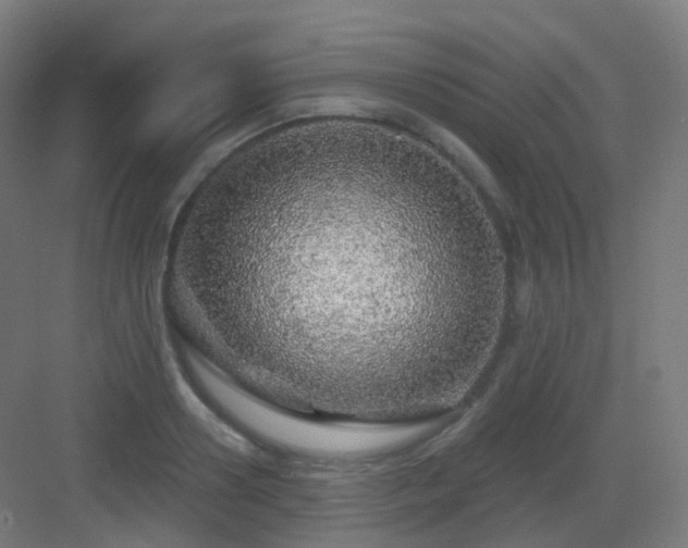 X0000083020938200702091313