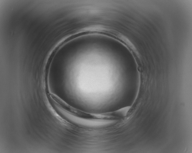 X0000083020939200702091313
