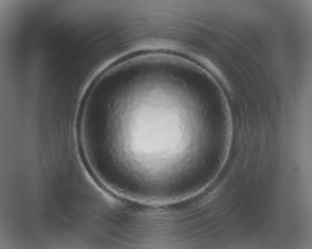 X0000083020943200702091313