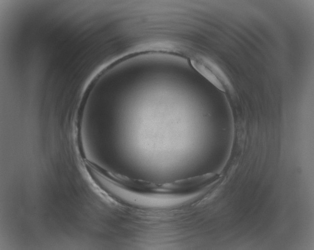 X0000083020944200702091313