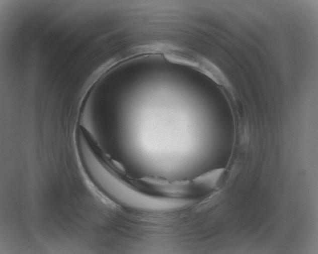 X0000083020946200702091313