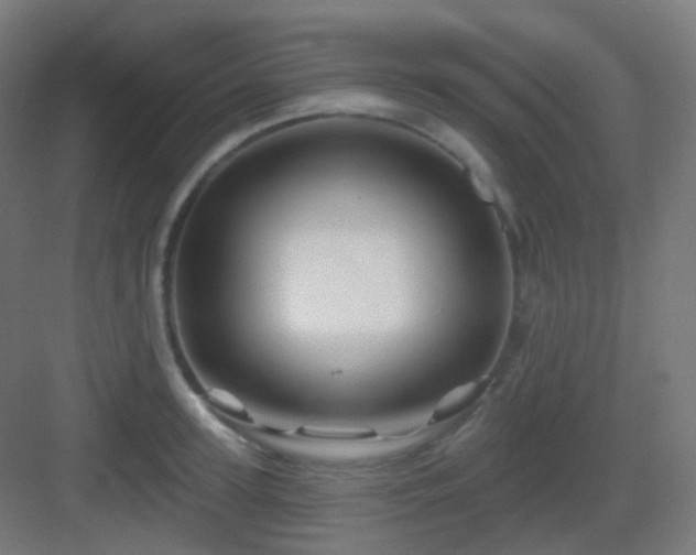 X0000083020947200702091313
