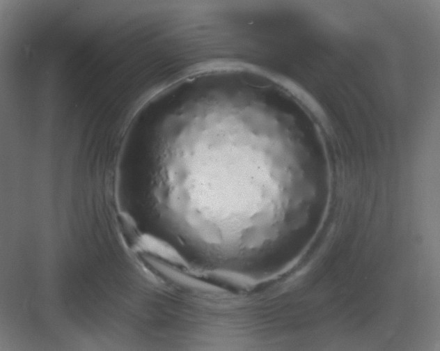 X0000083020953200702091313